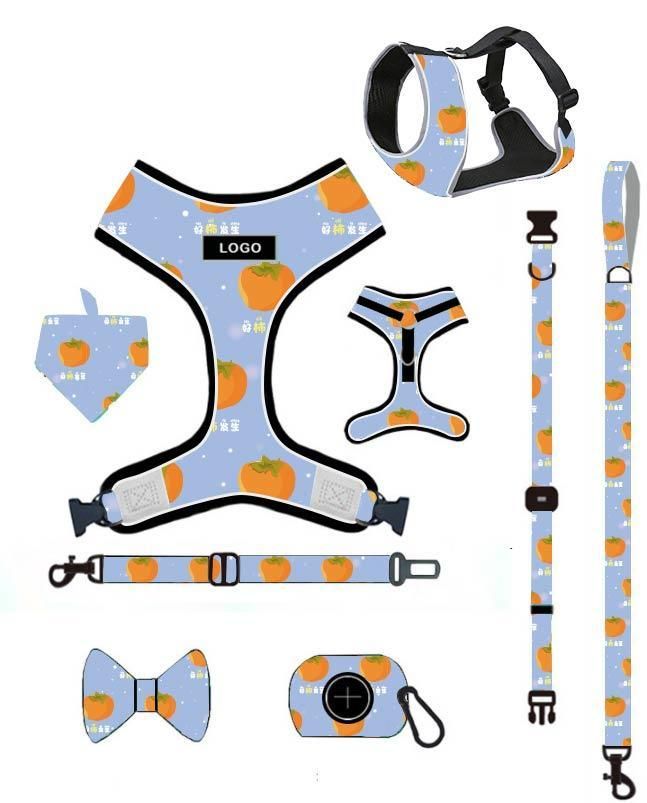 2021 Top Sellers Amazon Designers Pet Vest Personalized Harness Set, Adjustable Custom Bow Dog Harness Set