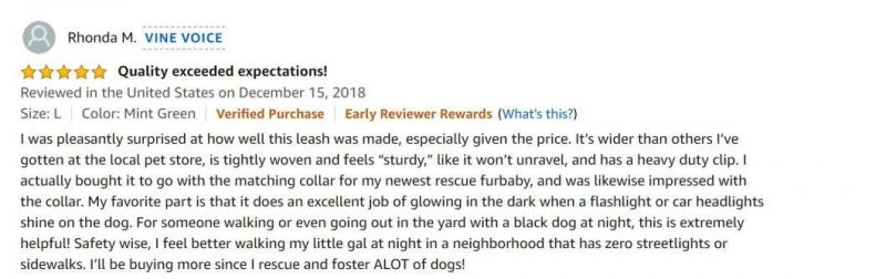 Heavy Duty Dog Leash Especially for Large Dogs up to 150lbs