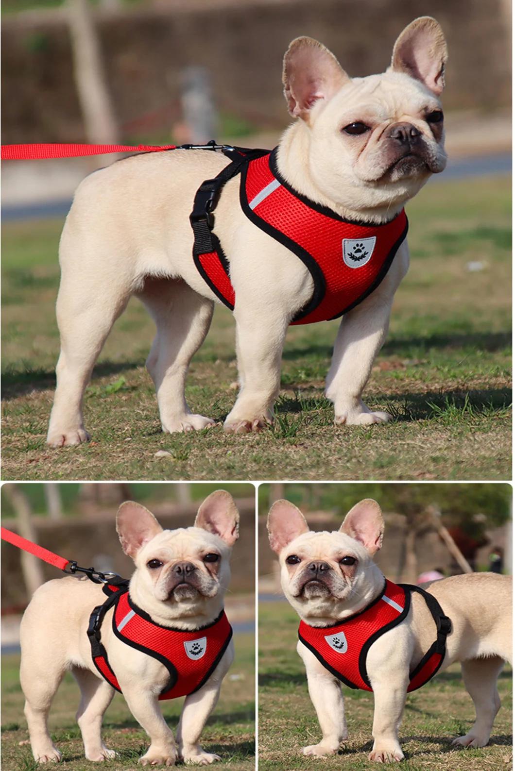 Mesh Pet Harness with Leash Set No Choke Design Ventilation