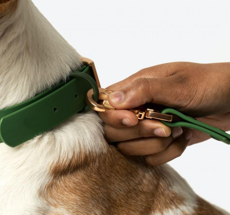 Waterproof Everyday Dog Collar Leash with Poo Bag Holder