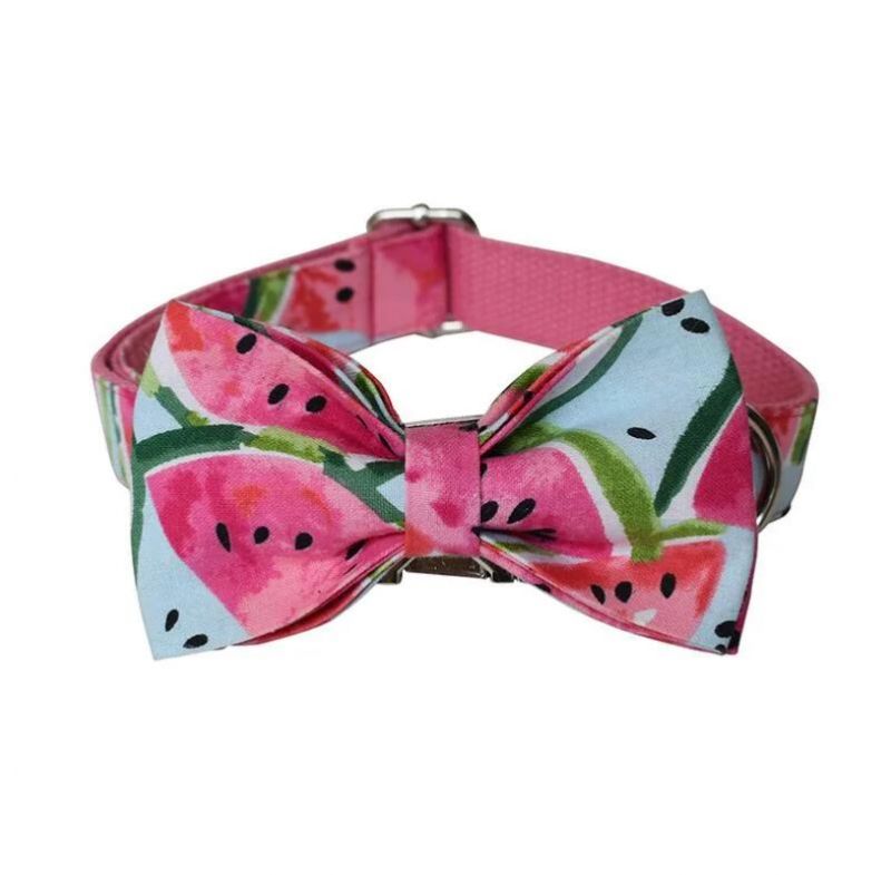 Summer Style Watermellon Dog Collar with Floral