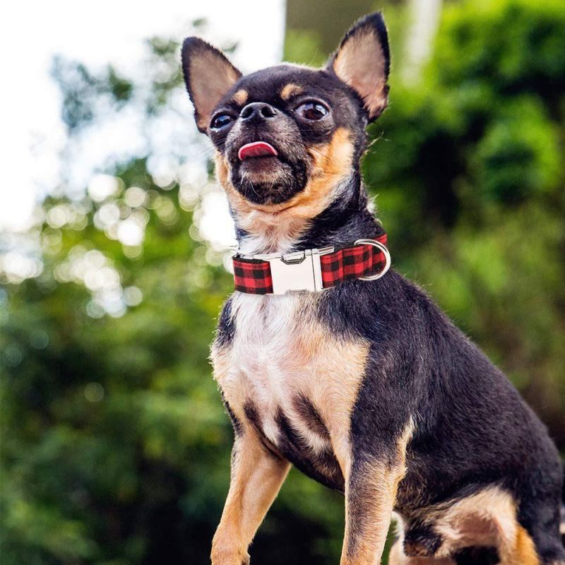Adjustable Soft Dog Western Collars Martingale Heavy Duty Nylon Dog Collar
