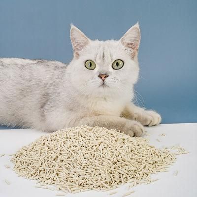 Manufacturer Wholesale Broken Clumping Quickly Odor-Killer Anion Bentonite Box Cat Litter for Sale Cat Cleaning