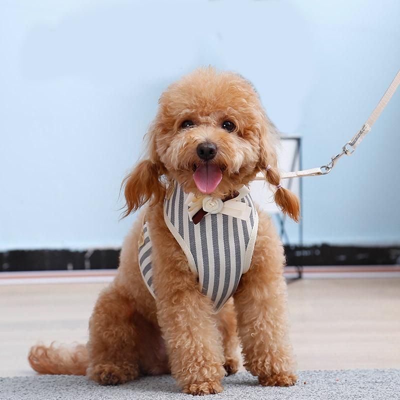 Multi Colors Breathable Adjustable Pet Cat Dog Harness with Leash