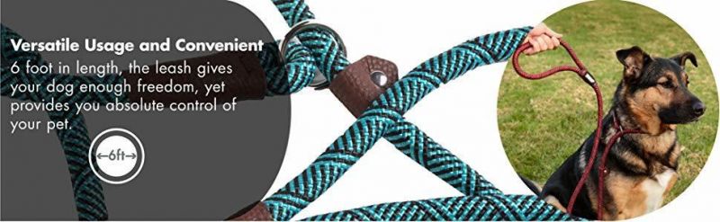 Extremely Durable Dog Slip Rope Leash Dog Leash