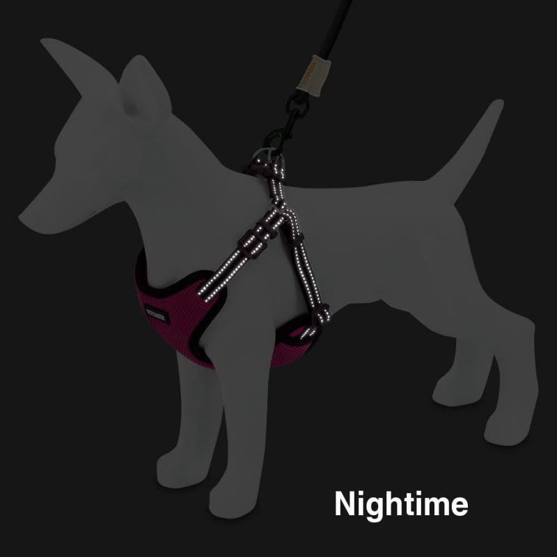 Adjustable Harness for Small and Medium Dogs by Best Pet Supplies