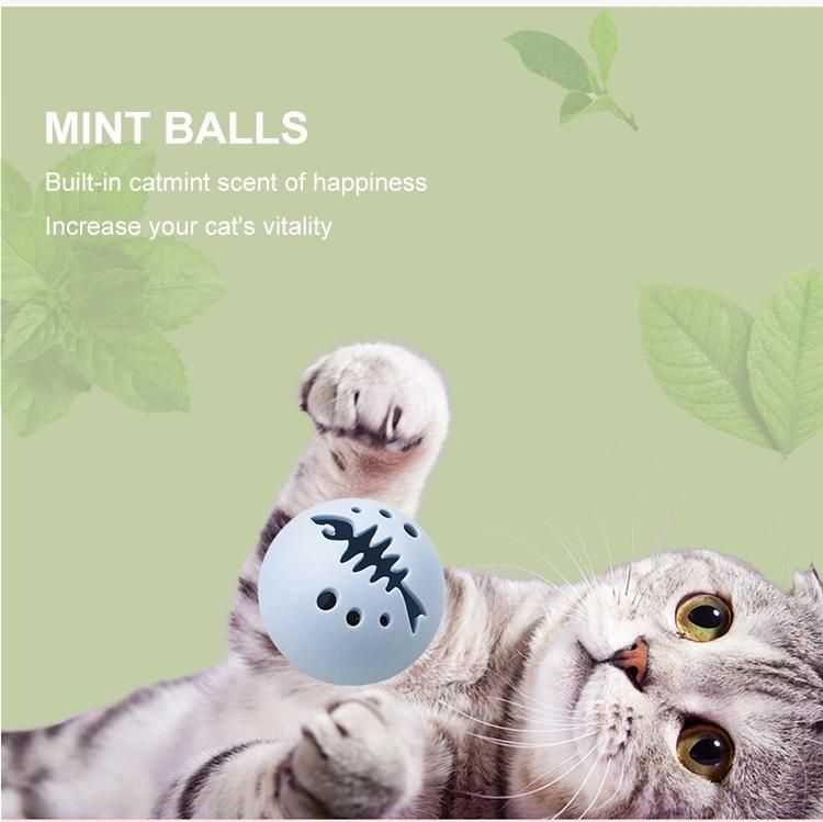 2021 New Pet Interactive Toy PP Cat Ball with Catnip and Bell