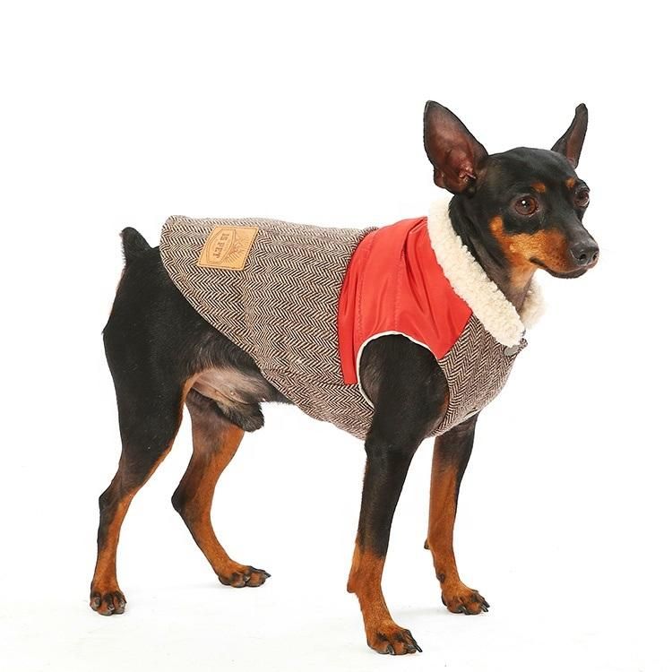 Custom Fashionable Halloween Animal Pet Costumes Dog Clothes