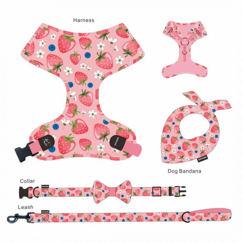 Classical Fruit Soft Padded Dog Collar and Leash for Pet Cat Dog Leash Collar Set