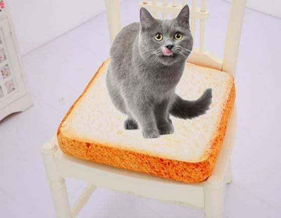 Factory Wholesale Pet Supplies Accessories Plush Toast Bread & Poached Egg Funny Pet Cat Beds