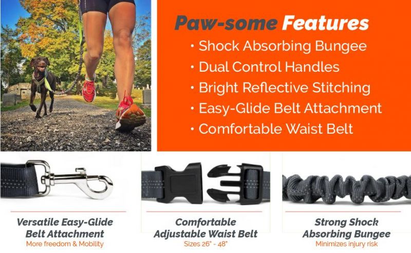 Hand-off Dog Leash for Training, Walking, Jogging and Running