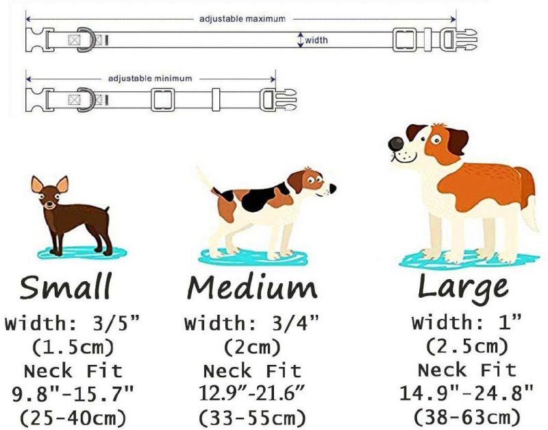Unique Design Custom Pattern Dog Collar Leash