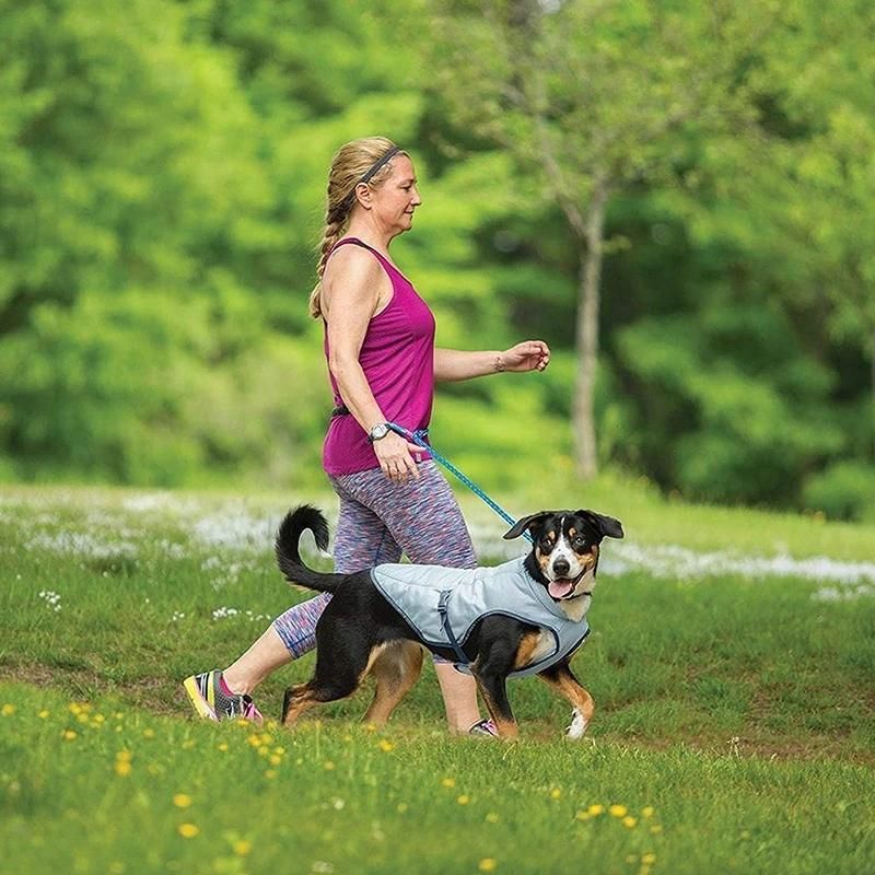 Luxury Hunting Training Camping Adjustable Evaporation Breathable Mesh Reflective Pet Dog Ice Cooling Vest Harness Cooler Jacket