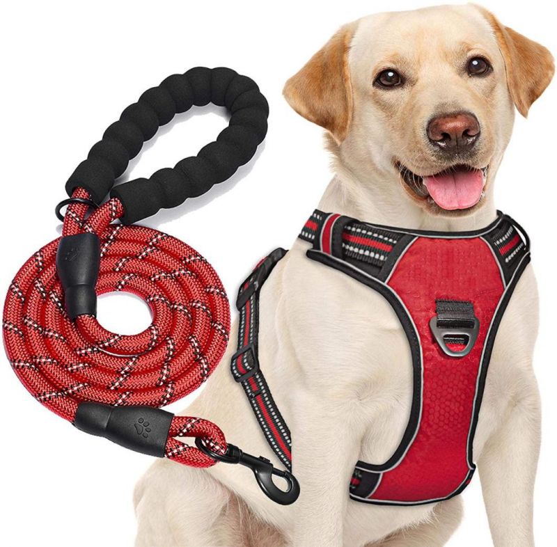 No-Pull Pet Harness with a Matching Dog Leash