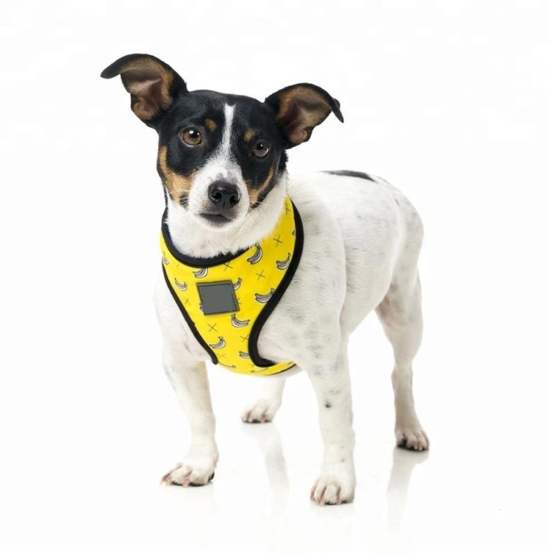 Super Waterproof Popular PVC Pet Dog Harness Collar and Leash