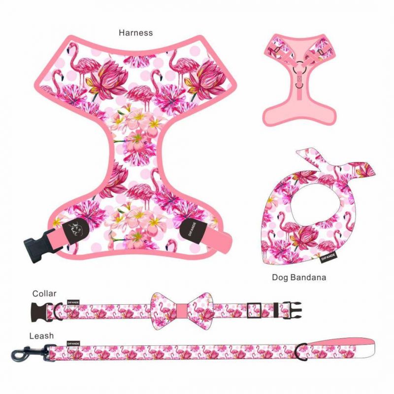 Zinc Alloy D Buckle Reflective Breathable Easy Washed Blank Ring Classical Mesh Personalized Dog Harness Set Custom