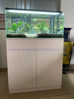 Custom Simplicity Glass Fish Tank Aquarium with Wooden Cabinet