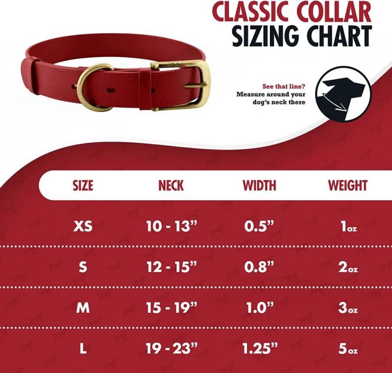 Tough Rust-Proof All Metal Hardware Waterproof Dog Collar
