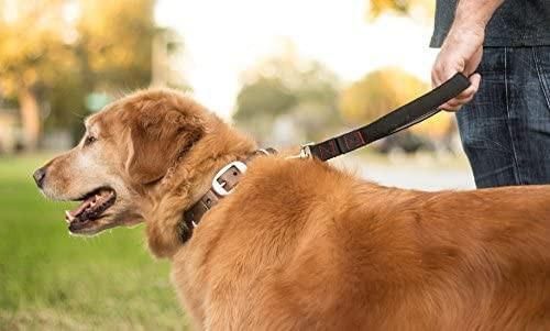 Extreme Strong Short Dog Leash