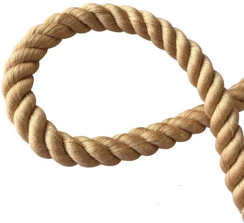 Strong Durable Cotton Rope Dog Leash with Competitive Price