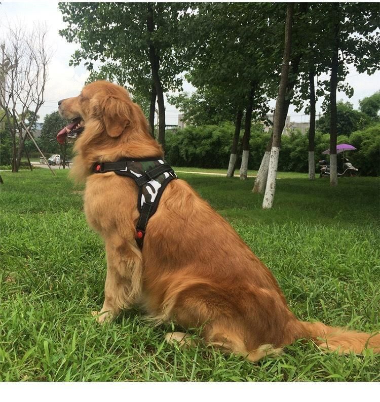 Strong Seat Belt Running Harness, Breathable Nylon Pet Walking Vest Puppy Padded Dog Harnesses//