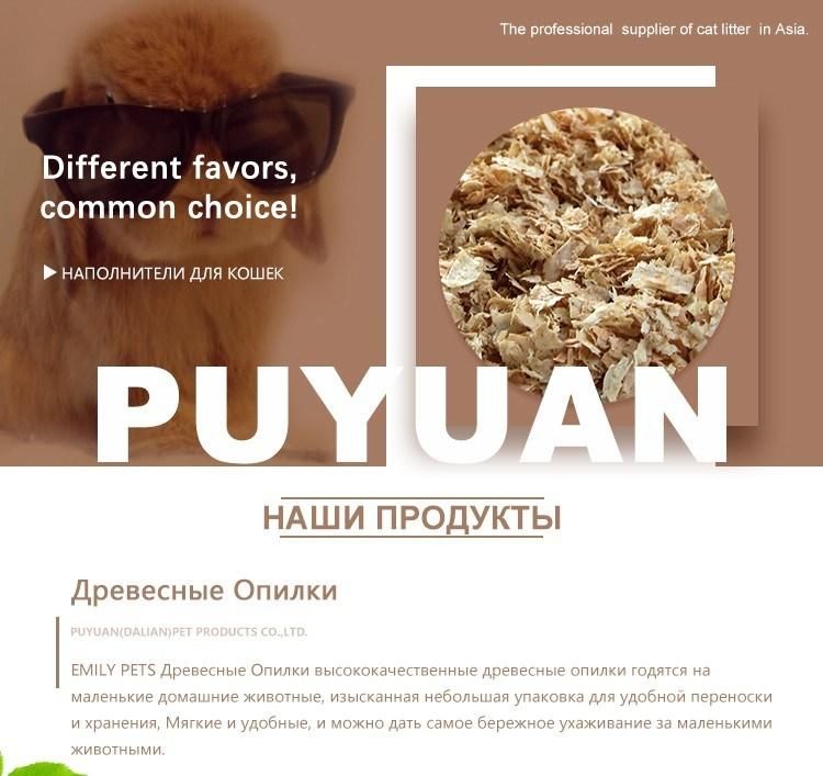 Pine Wood Shaving with Apple Fragrance Pet Products