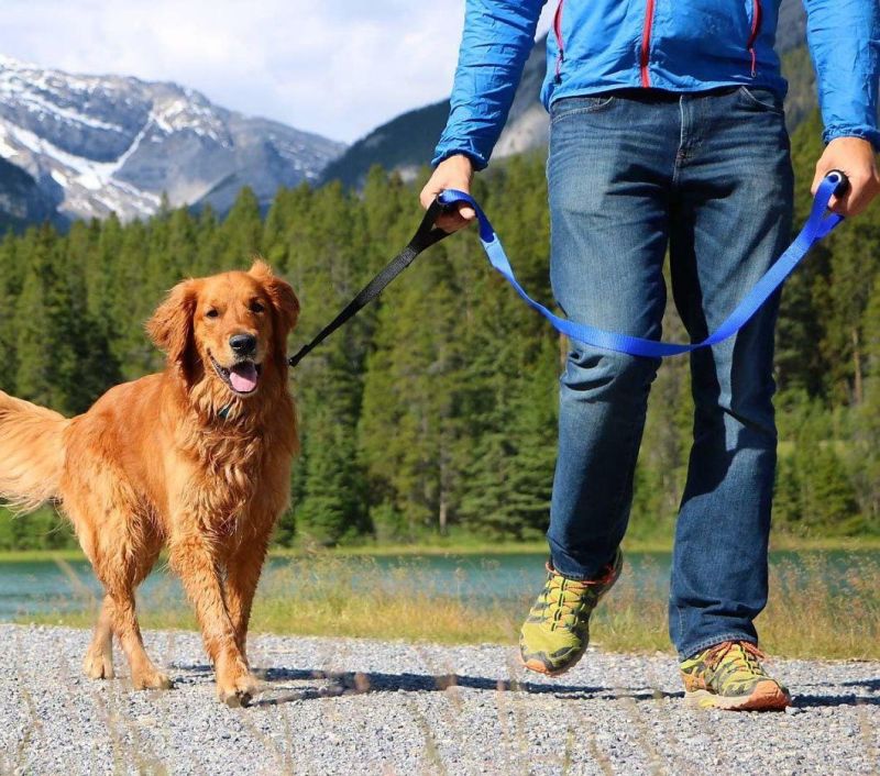 No Pull Double Handle Training Lead for Walking Big Dogs