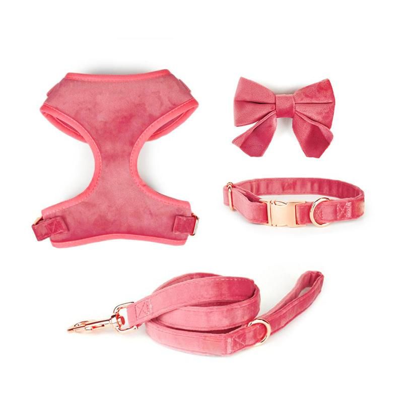 Luxury Dog Collar and Leash Velvet Custom Pet Harness Set Poop Bag W/ Gold Metal Buckle, Dog Harness