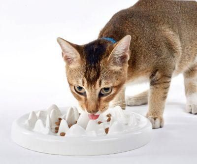 Slow Feeder Dog Bowl