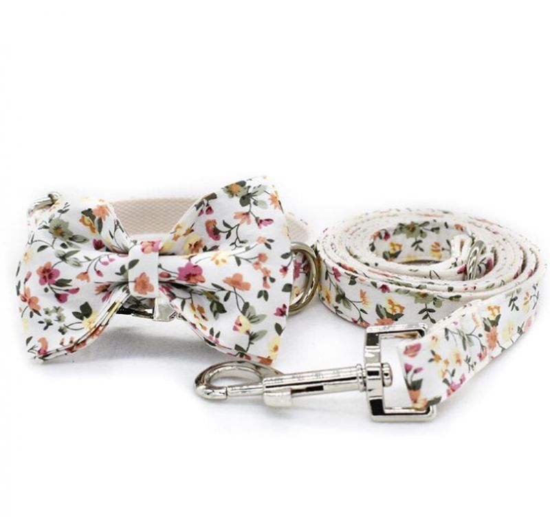 Adustable Metal Buckle Dog Collar with Matching Dog Leash