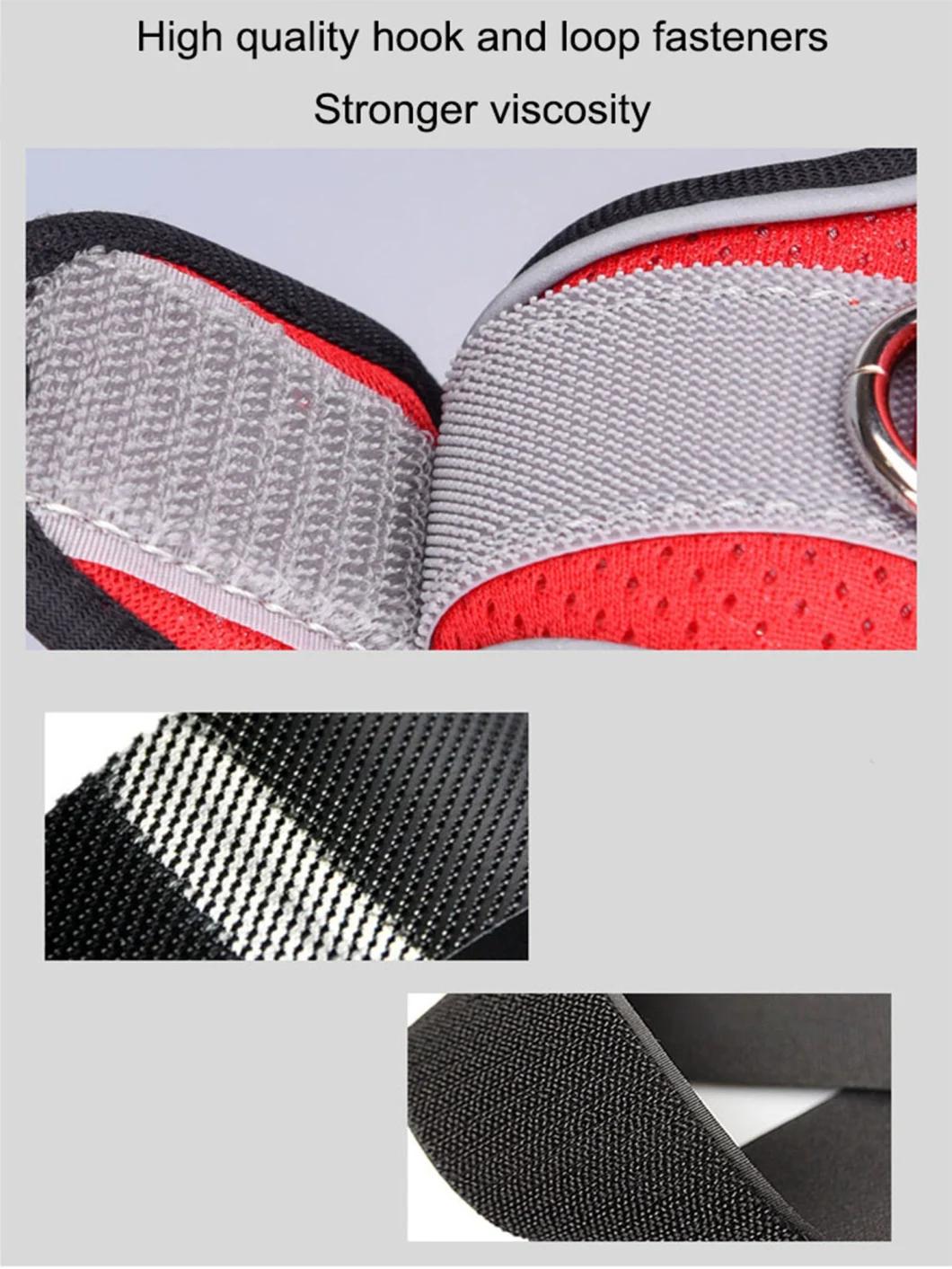 Fashionable Multicolor Reflective Dog Harness with Matching Pet Leash