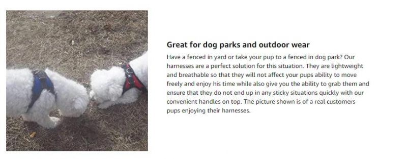 Enjoyable Outdoor Walking Harness for Usual Dog Leash