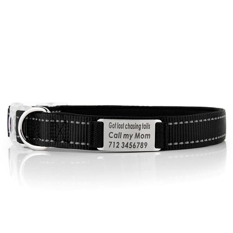 High Quality Heavy Duty Adjustable Premium Reflective Transparent Plastic Buckle Nylon Dog Collar with Neoprene Padded