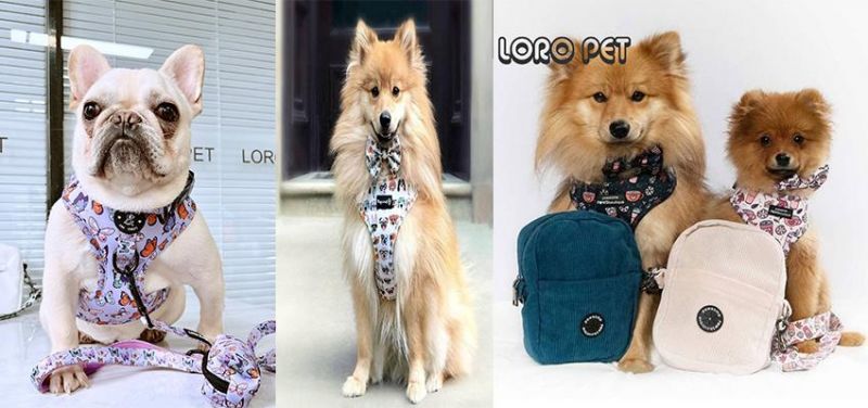 Hot New Product Fashion No Pull Pet Collar and Leash Set Adjustable Custom Dog Harness