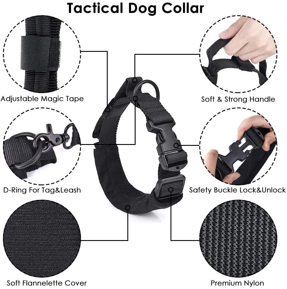 Adjustable Military Training Nylon Collar and Hands Free Heavy Duty Bungee Lead