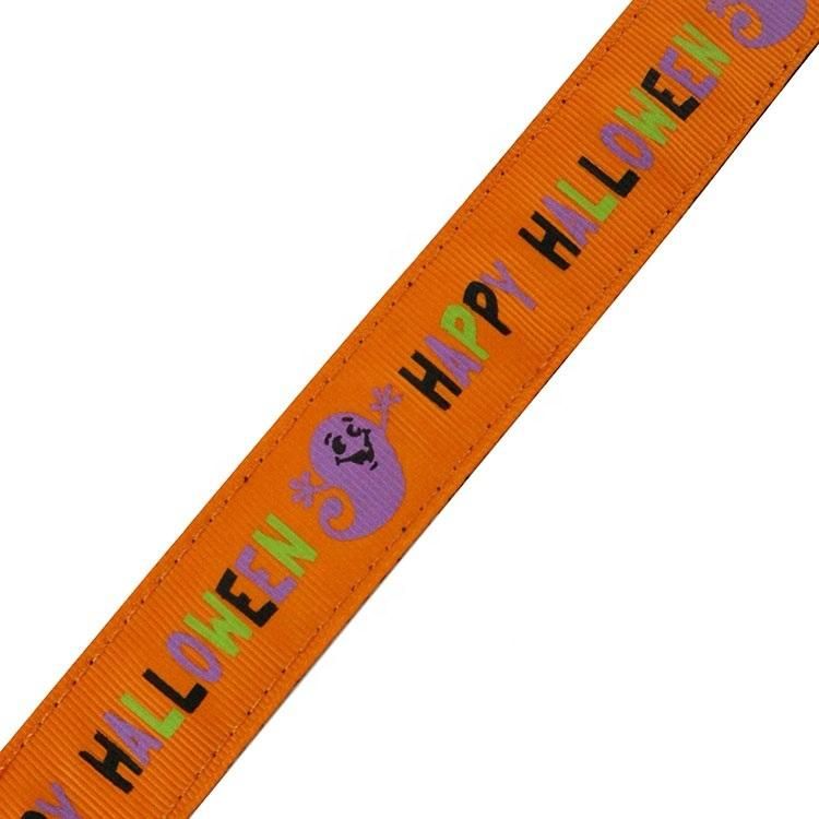 China Factory Selling Custom Pet Dog Lead with Black Claps