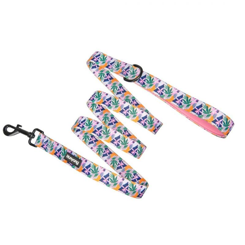New Release OEM Factory Durable Dog Leash Dog Accessories