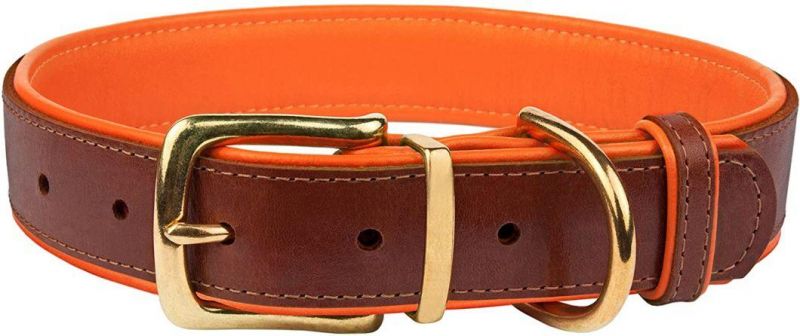 High Quality Leather Dog Collar with Neoprene Padding