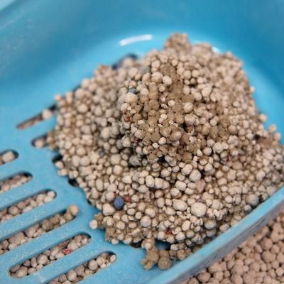 China OEM Tofu Cat Litter Sand Quick Clumping Easy Flushable and Bulk Cat Litter Tofu Suppliers Sale