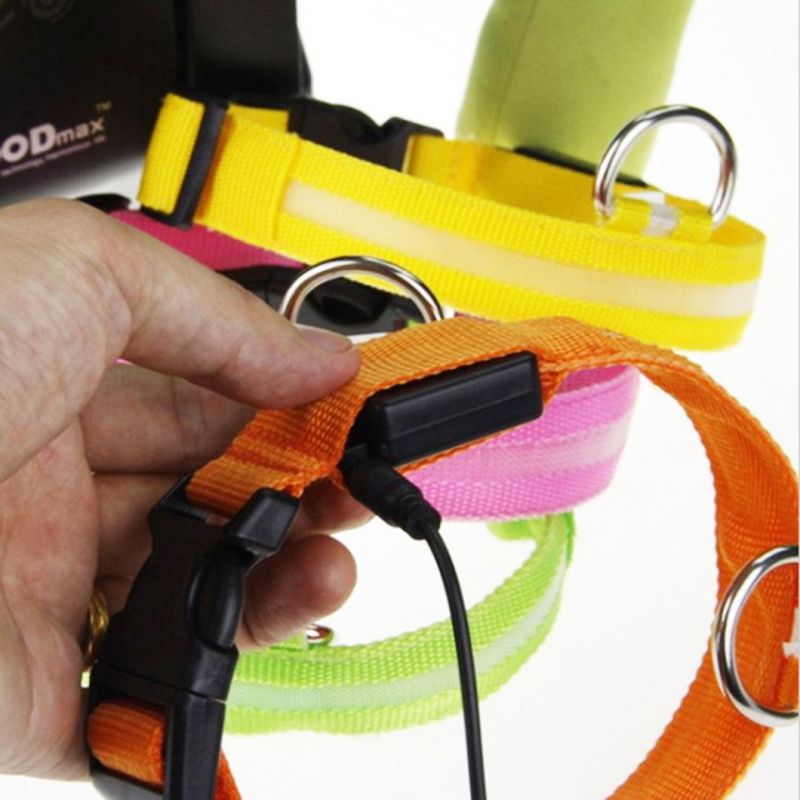 LED Dog Collar, Light up Collars to Keep Your Dogs Visible & Safe