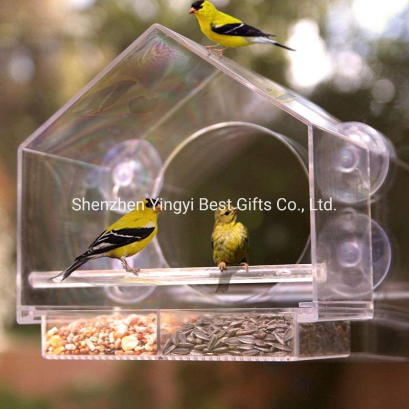 High Quality Custom Acrylic Food Box for Bird