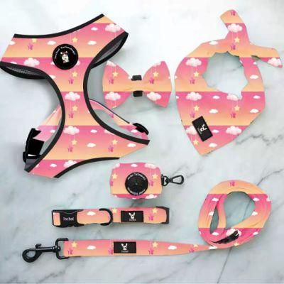 New Hot Sale Fashion Pet Products Dog Rope Leash Dog Vest Harness Padded Dog Harness