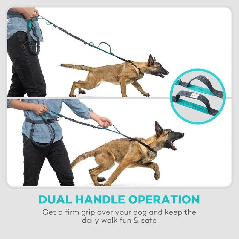 Retractable Hands Free Dog Leash with Dual Bungees for up to 150 Lbs Large Dogs
