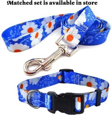 Factory in Stock Products Hot Selling Dog Rope Leash and Collar Sets