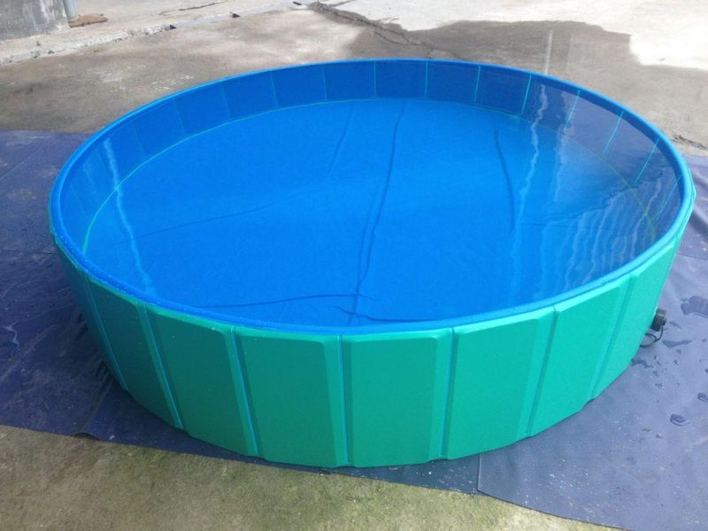 Foldable PVC Doggy Bath Pool