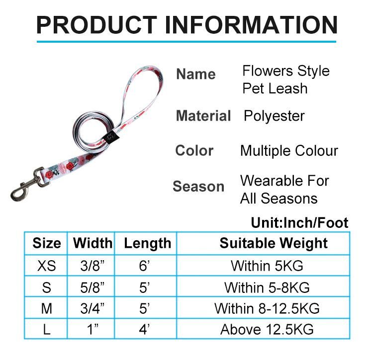 Pet Products Nylon Leather Dog Collar Leash Set with Custom Paper Card Packaging