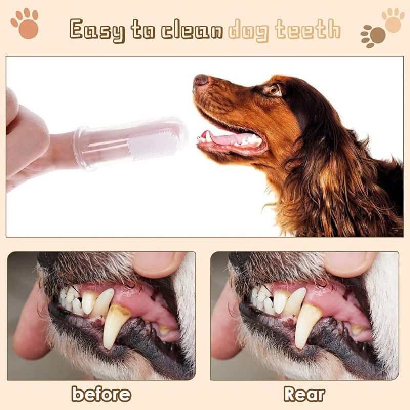 High Quality DOT Raised Design Massage Tongue Coating Set of Fingers Toothbrush for Pets