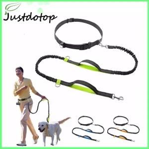 Factory Price Nylon Pet Leash with Collar for Dog/Cats