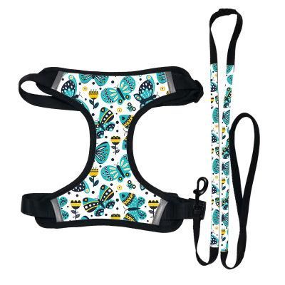 Breathable Small Dog Pet Harness and Leash Set Puppy Cat Vest Harness/Pet Toy