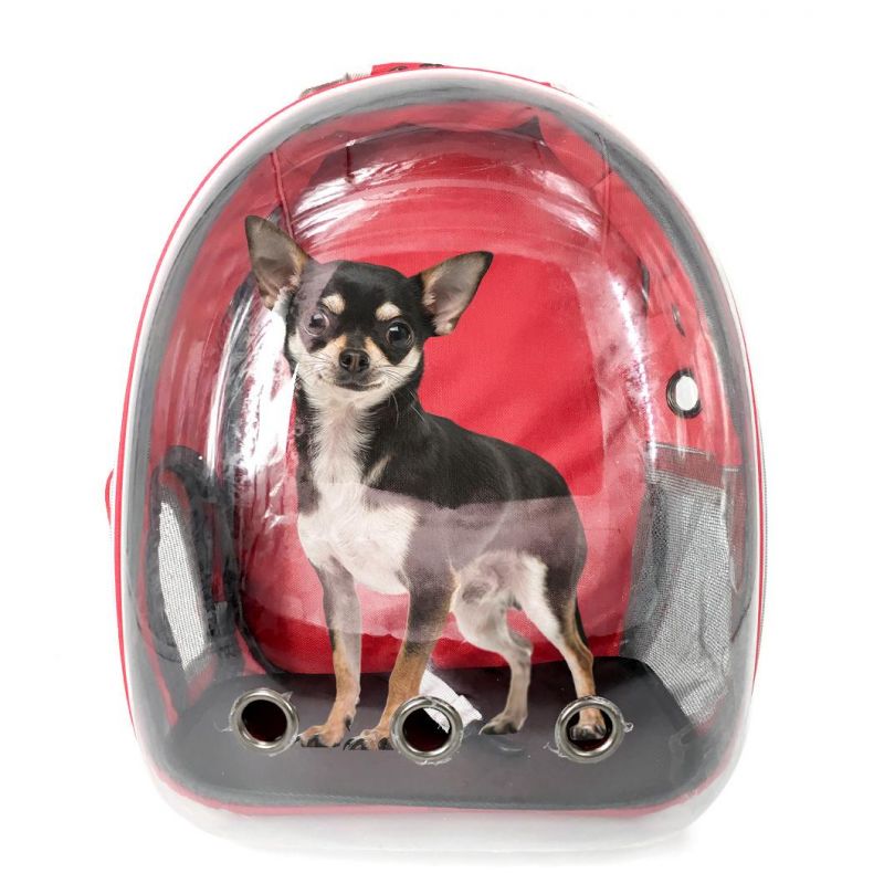 High Quality Pet Products Transparent Pet Carrier Backpack Portable Small Dog Cat Pet Carrying Bag